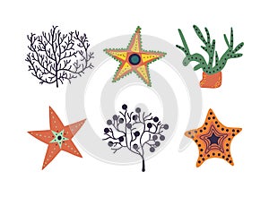 Coral, Seaweeds and Starfish as Aquatic Marine Plant and Fauna from Ocean Bottom Vector Set