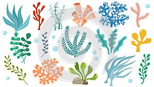 Coral set. Ocean plants, underwater flora, seaweed. Aquatic plant, algae, tropical seabed