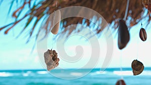 Coral and  shells handmade beads hanging from a roof made of palm leaves sway in the wind. ocean view from savage hut on the beach