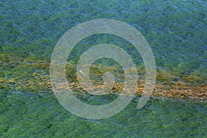 Coral Spawning In The Ocean, Australia