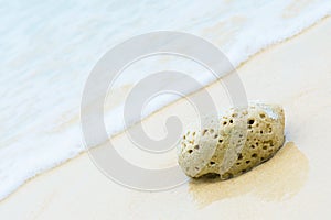 Coral stone on the beach