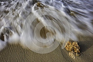 Coral stone on the sea beach