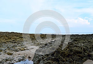 Coral Stones at Littoral Zone against Blue Sky - Abstract Natural Texture Geology Oceanology Background