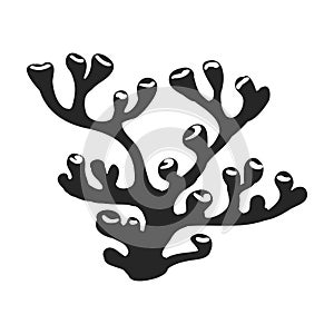 Coral vector black icon. Vector illustration reef of sea on white background. Isolated black illustration icon of coral