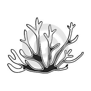 Coral vector black icon. Vector illustration reef of sea on white background. Isolated black illustration icon of coral