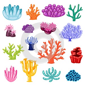 Coral vector sea coralline or exotic cooralreef undersea illustration coralloidal set of natural marine fauna in ocean