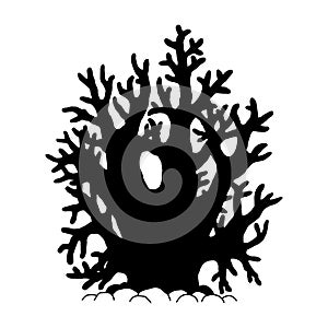 Coral. Vector silhouette coralline reef ocean animal underwater life doodle isolated illustration.