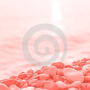 Coral wet pebble stones and water at morning seaside