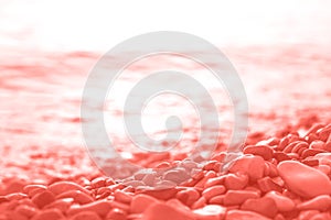 Coral wet pebble stones and water at morning seaside