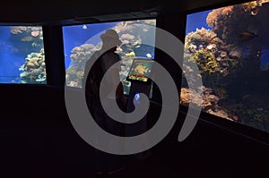 Coral World Underwater Observatory aquarium in Eilat Israel