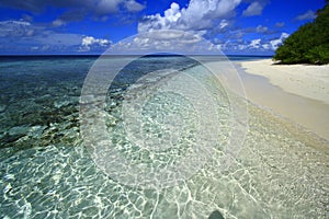 Corall beach maldives