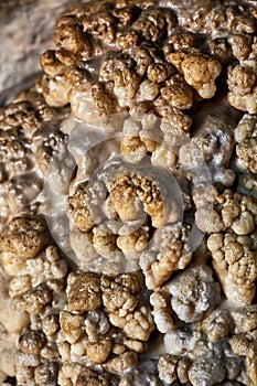 Coralloid formations (cave popcorn)