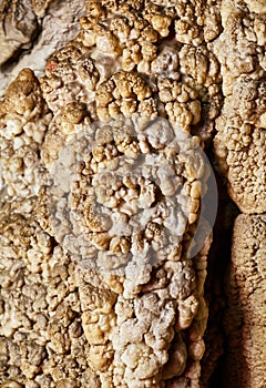 Coralloid formations (cave popcorn)