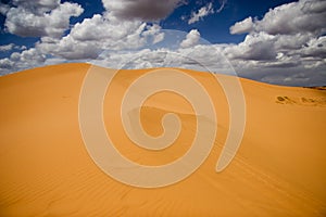 Coralpink sand dune photo