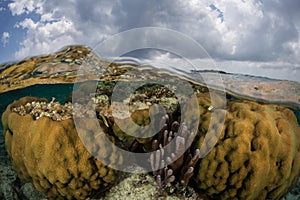 Corals and Clouds in Caribbean