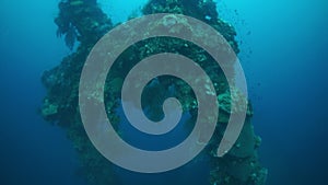 Corals and fish on sunken ship wreck in underwater Truk Islands.