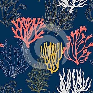 Corals pattern hand drawn illustration