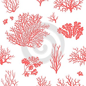 Corals seamless pattern