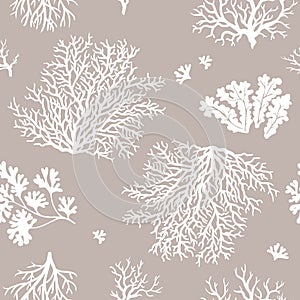 Corals seamless pattern