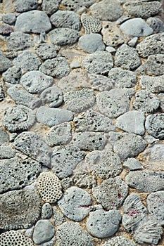 Corals stone pattern