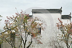 The corbie gable of Chinese folk houses