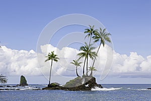 Corcovado National Park, Costa Rica