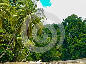 Corcovado National Park, Osa Peninsula