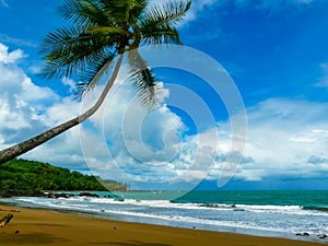 Corcovado National Park, Osa Peninsula