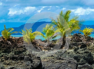 Corcovado National Park, Osa Peninsula