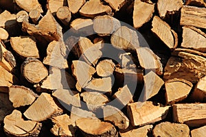 A cord of cut wood.