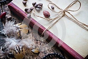 Corded book with beads, dogrose, pine nuts and earrings with feathers