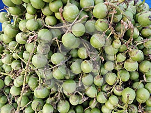 Lahsoora or cordia myxa is common fruit for use in pickles in India and pakistan