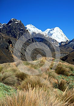 Cordillera Blanca, Andes