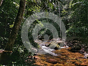 Cordillera escalera trail and river. Tarapoto, San MartÃÂ­n. Peru photo