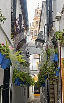 Cordoba Andalucia, Spain: street