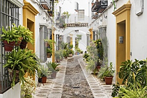 Cordoba Andalucia, Spain: street photo