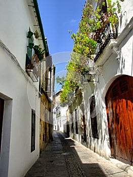 Cordoba old street photo