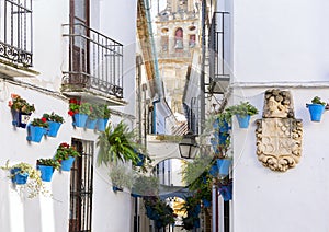 Cordoba, Spain. Calleja de las flores, a famous narrow street in Cordoba, Spain during the traditional flower festival of the photo