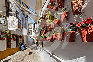 Cordoba street decorated with flower pots