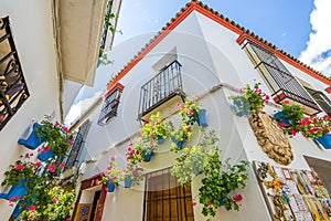 Cordoba streets of the Juderia