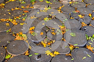 cordwood floor of log end with yellow autumn leaves