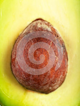 Core of avocado