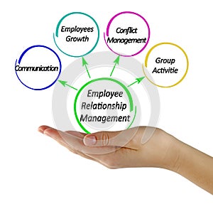 Core Issues for Employee Relationship Management