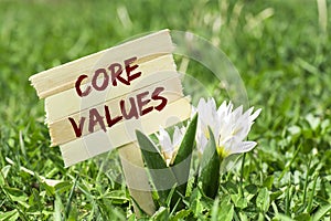 Core values