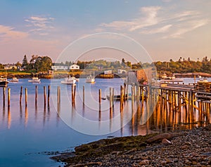 Corea Harbor glows in the last light of the day in Maine , USA photo