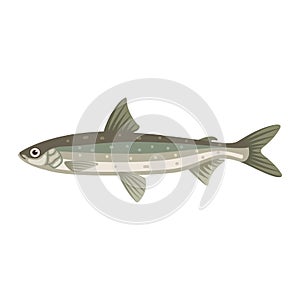Coregonus albula vendance cisco fish