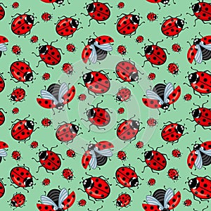 Corel seamless pattern. Cartoon red ladybugs on a blue background mint photo