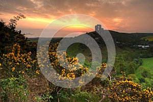 Corfe castle sunrise