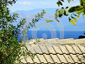 Corfu Greece in sommer seaside