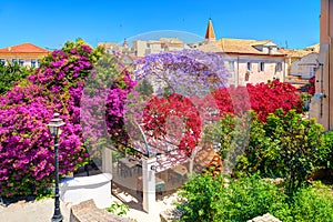 Corfu island garden park colorful trees flowers, classical Greek old houses buildings architecture of Greece Corfu island Kerkyra